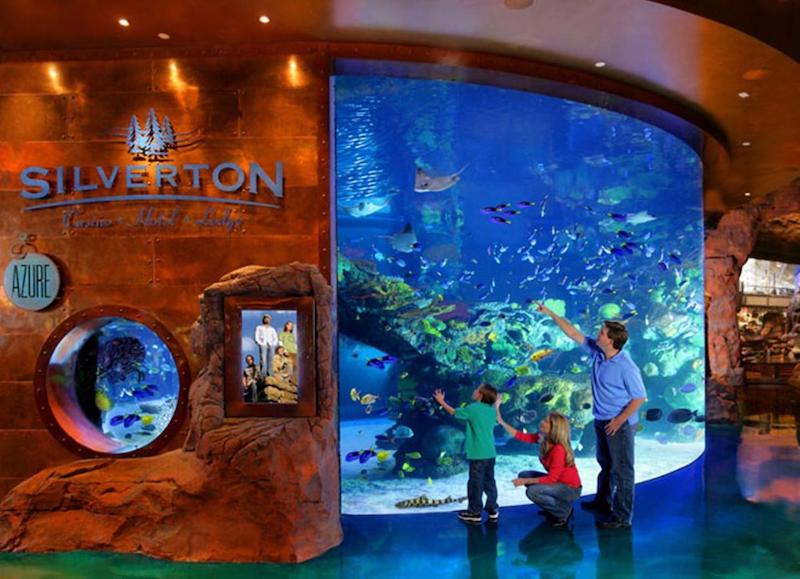 Família no Silverton Aquarium em Las Vegas