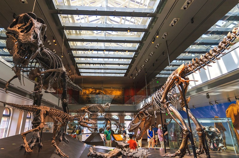 Museu Natural History Museum em Los Angeles