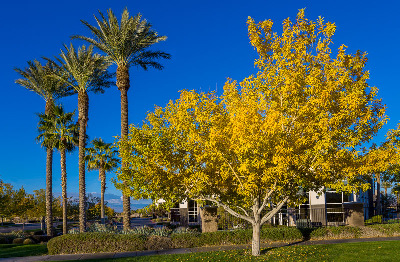 Dia de céu claro no outono em Las Vegas
